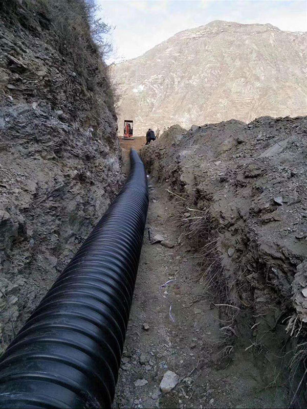 1645844265959251.jpg